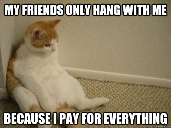 My friends only hang with me Because I pay for everything - My friends only hang with me Because I pay for everything  Depressing Realization Cat