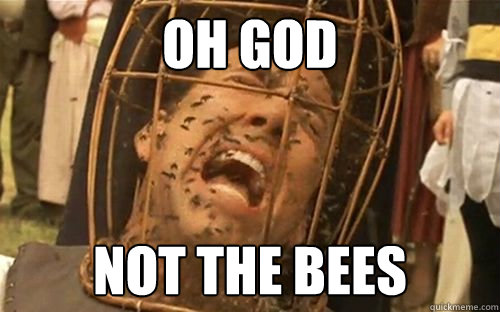 OH GOD NOT THE BEES - OH GOD NOT THE BEES  nicolas cage bees