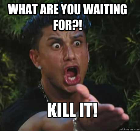 what are you waiting for?! KILL IT!  Dj Pauly D