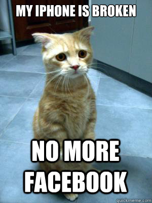 My iPhone is Broken no more facebook - My iPhone is Broken no more facebook  sad cat blog