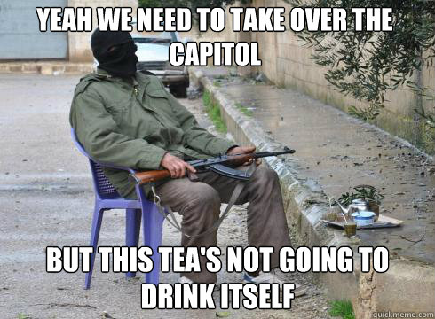 But this tea's not going to drink itself Yeah we need to take over the capitol  Lazy Rebel