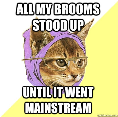all my brooms stood up until it went mainstream  Hipster Kitty