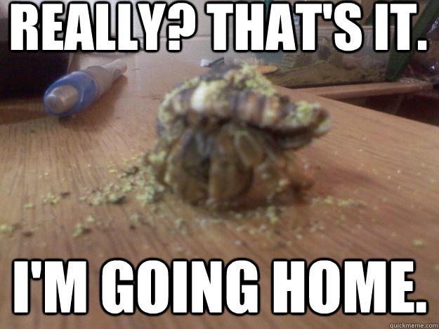Really? That's it. I'm going home.     Hermit Crab