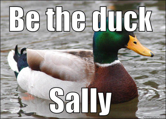 BE THE DUCK SALLY Actual Advice Mallard