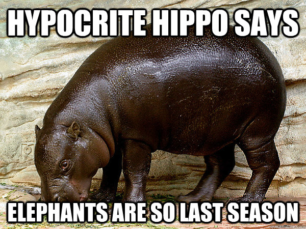 hypocrite hippo says elephants are so last season  