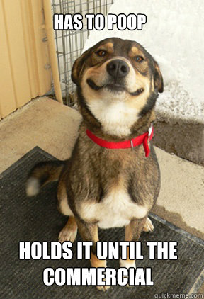 Has to poop Holds it until the commercial  Good Dog Greg