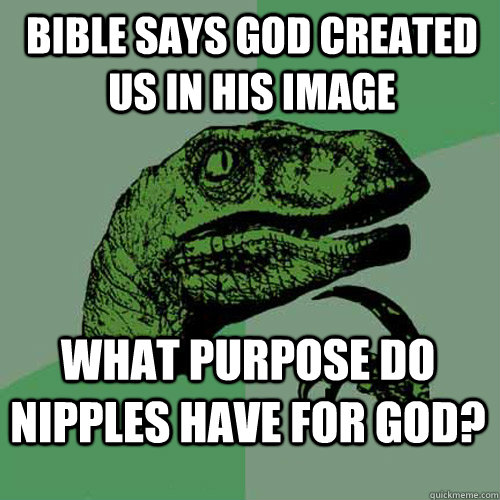 bible says god created us in his image what purpose do nipples have for god? - bible says god created us in his image what purpose do nipples have for god?  Philosoraptor