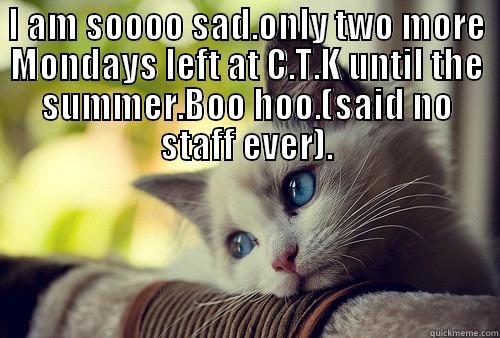 I AM SOOOO SAD.ONLY TWO MORE MONDAYS LEFT AT C.T.K UNTIL THE SUMMER.BOO HOO.(SAID NO STAFF EVER).  First World Problems Cat