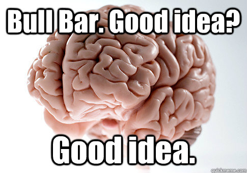 Bull Bar. Good idea? Good idea.  Scumbag Brain