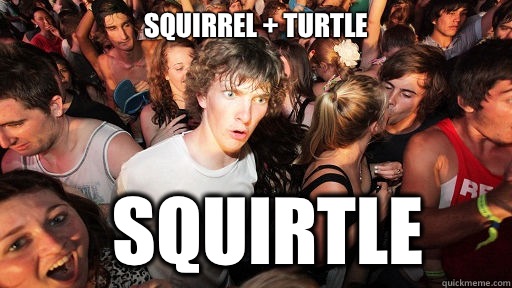   Squirrel + Turtle Squirtle  Sudden Clarity Clarence