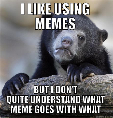 I LIKE USING MEMES BUT I DON'T QUITE UNDERSTAND WHAT MEME GOES WITH WHAT Confession Bear