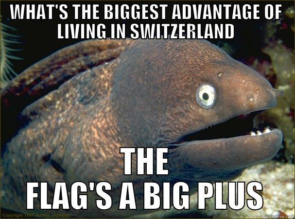 WHAT'S THE BIGGEST ADVANTAGE OF LIVING IN SWITZERLAND THE FLAG'S A BIG PLUS Bad Joke Eel