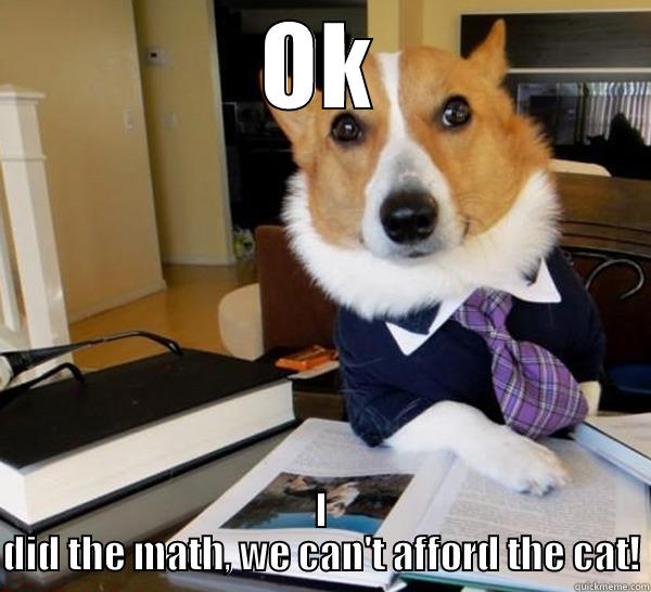 OK I DID THE MATH, WE CAN'T AFFORD THE CAT! Lawyer Dog