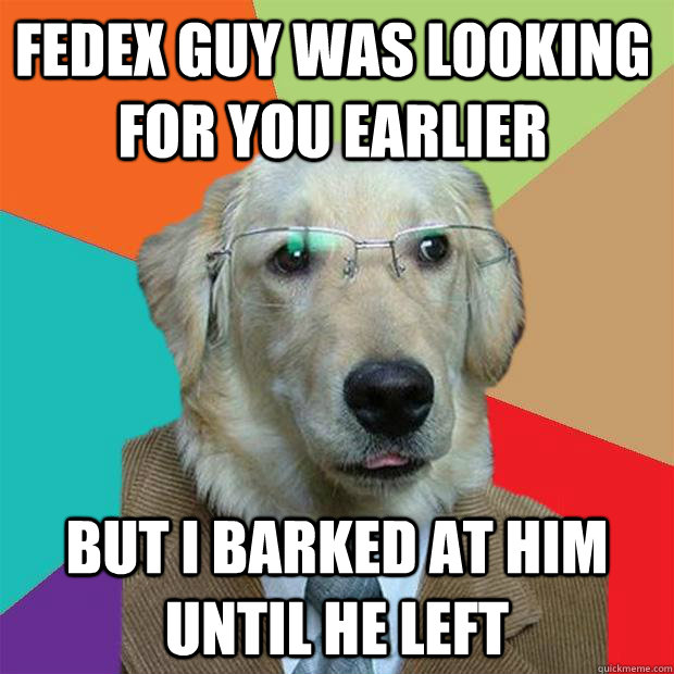 FedEx Guy was looking for you earlier but i barked at him until he left  Business Dog