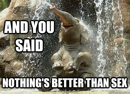 and you said nothing's better than sex - and you said nothing's better than sex  Happy Elephant