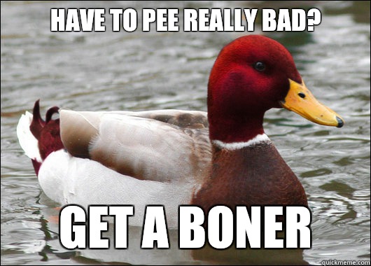 Have to pee really bad?
 Get a boner  Malicious Advice Mallard