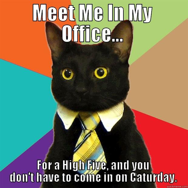 MEET ME IN MY OFFICE... FOR A HIGH FIVE, AND YOU DON'T HAVE TO COME IN ON CATURDAY. Business Cat