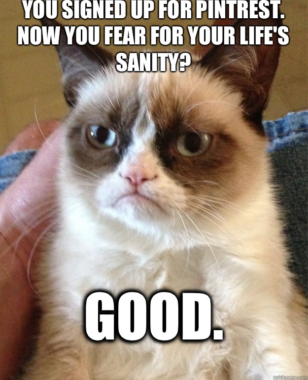 You signed up for Pintrest. Now you fear for your life's sanity? Good.  - You signed up for Pintrest. Now you fear for your life's sanity? Good.   Grumpy Cat