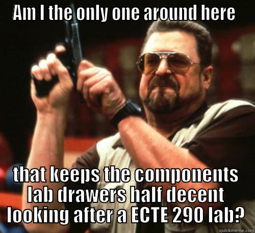 AM I THE ONLY ONE AROUND HERE  THAT KEEPS THE COMPONENTS LAB DRAWERS HALF DECENT LOOKING AFTER A ECTE 290 LAB? Am I The Only One Around Here