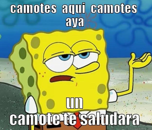 CAMOTES  AQUI  CAMOTES  AYA UN CAMOTE TE SALUDARA Tough Spongebob