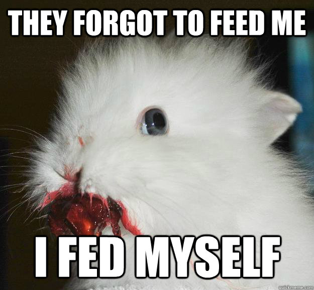 They forgot to feed me i fed myself  