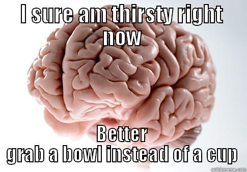 I SURE AM THIRSTY RIGHT NOW BETTER GRAB A BOWL INSTEAD OF A CUP Scumbag Brain
