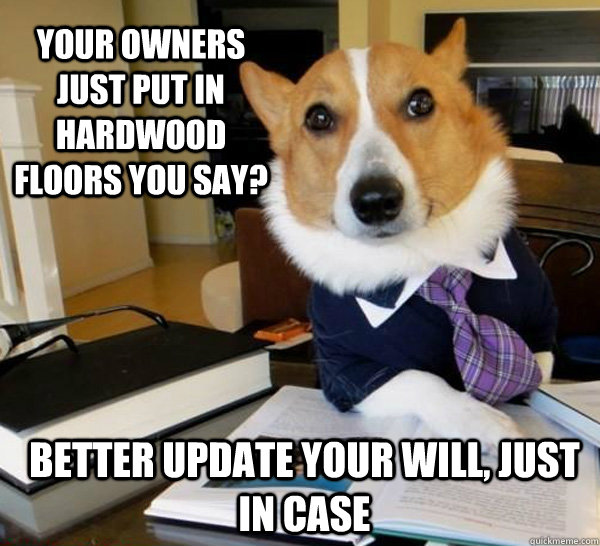 Your owners just put in hardwood floors you say? Better update your will, just in case  Lawyer Dog
