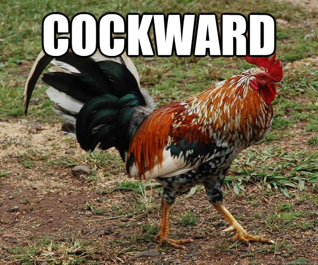 Cockward  - Cockward   Red Team Rooster