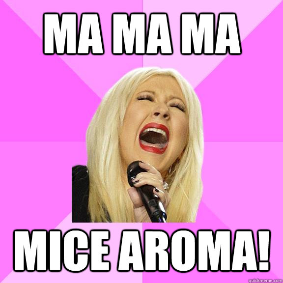 Ma ma ma mice aroma!  Wrong Lyrics Christina