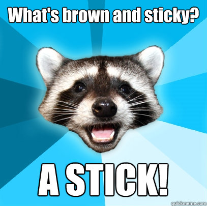 What's brown and sticky? A STICK!  Lame Pun Coon