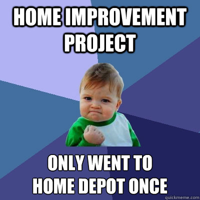 Home improvement project Only went to 
home depot once  Success Kid
