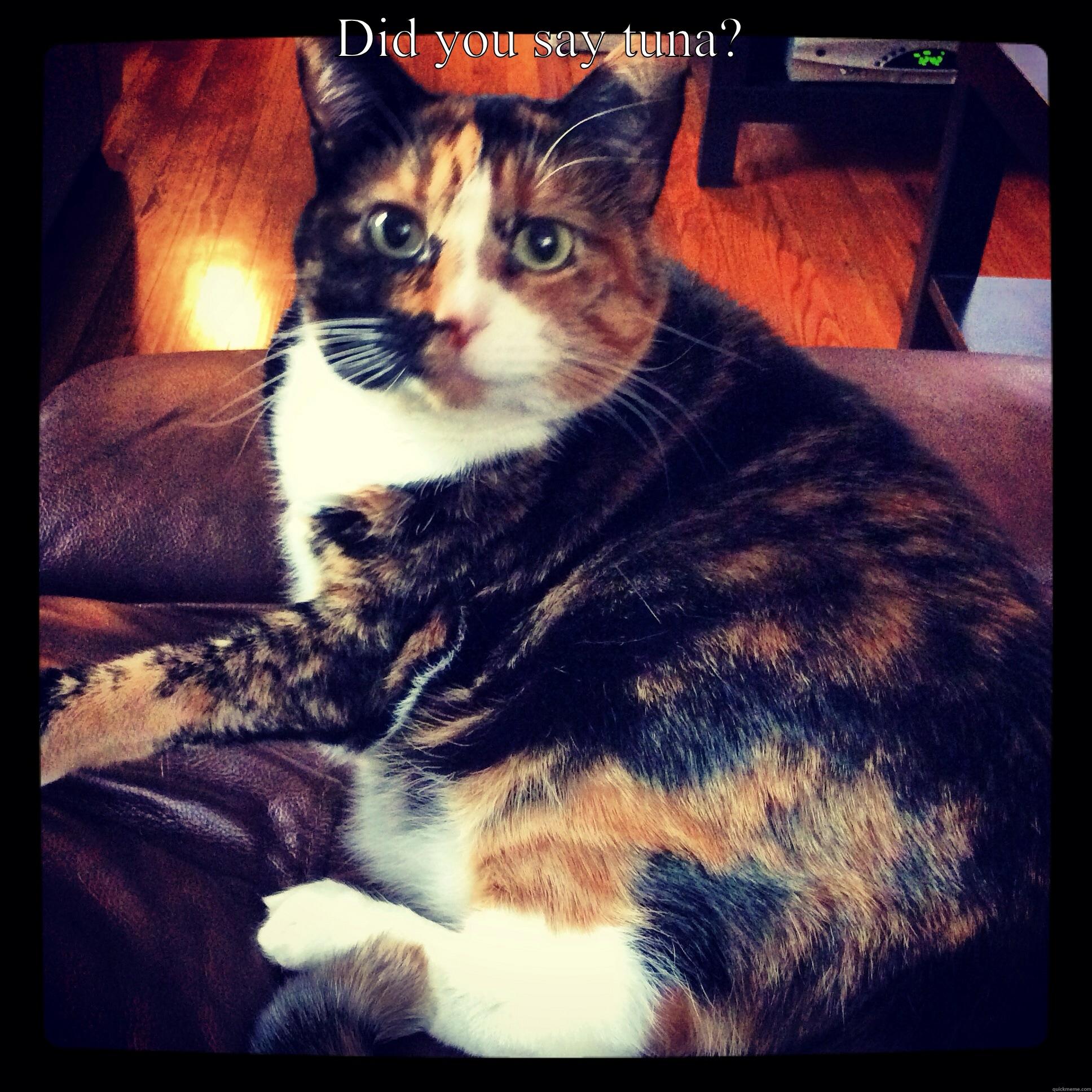 DID YOU SAY TUNA?  Misc