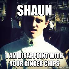 SHAUN I AM DISAPPOINT WITH YOUR GINGER CHIPS - SHAUN I AM DISAPPOINT WITH YOUR GINGER CHIPS  Disappoint