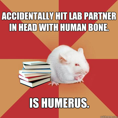 Accidentally hit lab partner in head with human bone. Is humerus.  Science Major Mouse