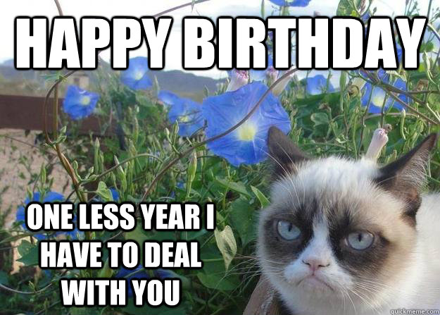 Happy birthday one less year I have to deal with you  Cheer up grumpy cat