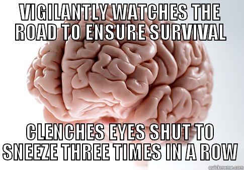 VIGILANTLY WATCHES THE ROAD TO ENSURE SURVIVAL CLENCHES EYES SHUT TO SNEEZE THREE TIMES IN A ROW Scumbag Brain