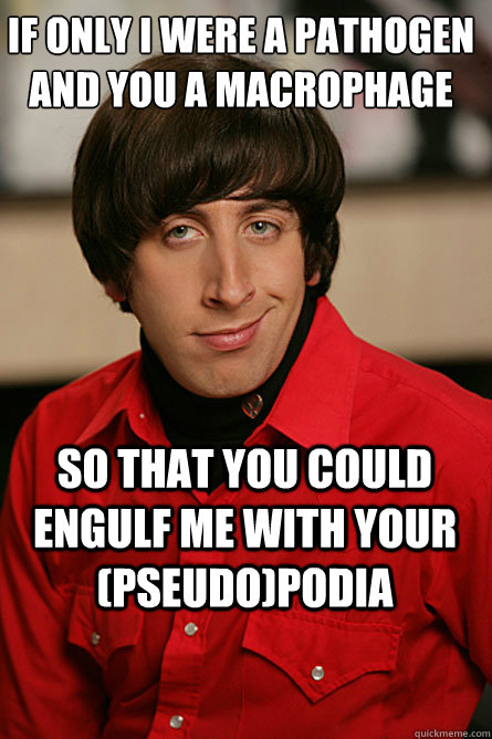 If only I were a pathogen and you a macrophage So that you could engulf me with your (pseudo)podia - If only I were a pathogen and you a macrophage So that you could engulf me with your (pseudo)podia  Pickup Line Scientist