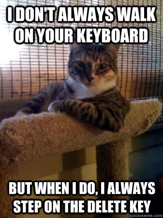 I don't always walk on your keyboard but when i do, i always step on the delete key  The Most Interesting Cat in the World