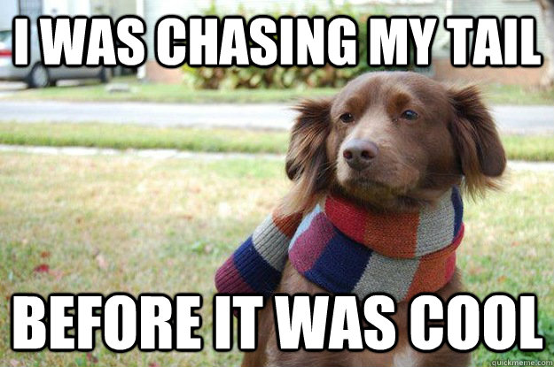 I was chasing my tail before it was cool - I was chasing my tail before it was cool  Misc