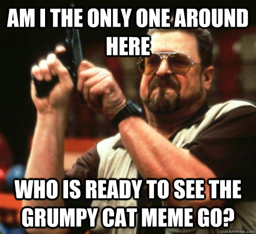 Am i the only one around here who is ready to see the grumpy cat meme go?  Am I The Only One Around Here