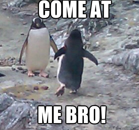 come at me bro!  come at me bro penguin