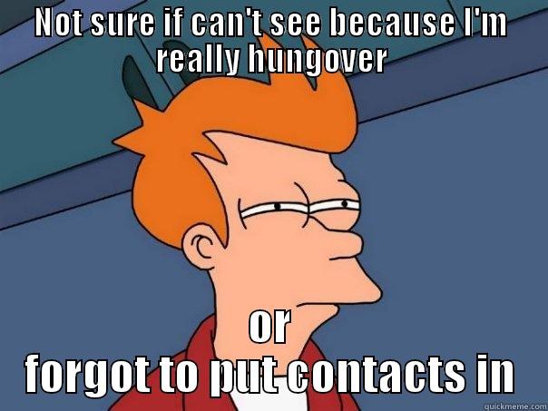 NOT SURE IF CAN'T SEE BECAUSE I'M REALLY HUNGOVER OR FORGOT TO PUT CONTACTS IN Futurama Fry
