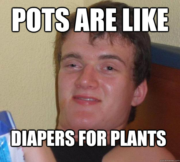 Pots are like diapers for plants  - Pots are like diapers for plants   10 Guy