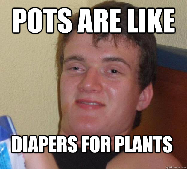 Pots are like diapers for plants   10 Guy
