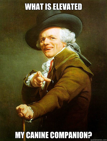 What is elevated my canine companion?  Joseph Decreaux
