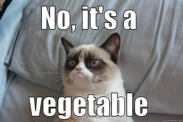 NO, IT'S A VEGETABLE Grumpy Cat