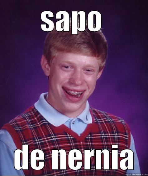 SAPO  DE NERNIA Bad Luck Brian