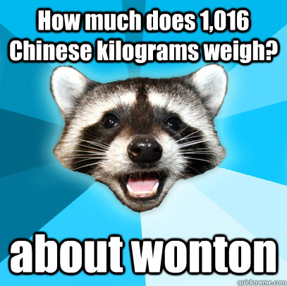 How much does 1,016 Chinese kilograms weigh? about wonton  Lame Pun Coon