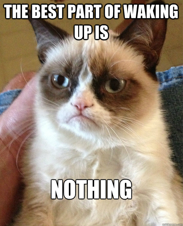 The best part of waking up is NOTHING  Grumpy Cat