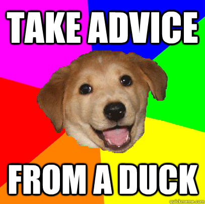 TAKE ADVICE FROM A DUCK  Advice Dog